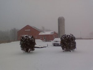 Snowy Amish Farm.JPG