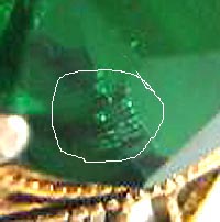 greenie detail.jpg