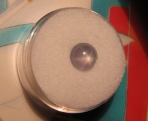 BlueSS5157.JPG
