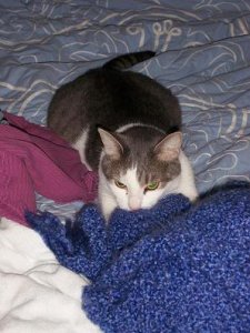 binks kneading.jpg