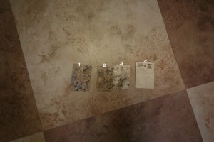 IMG_1570web.jpg