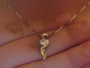 dentdnecklace.jpg
