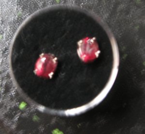 spinel02733.jpg