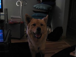 IMG_3474 freke.jpg