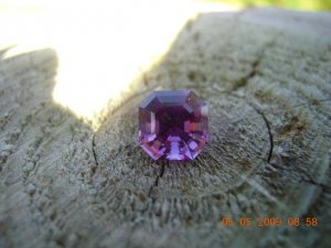 xPicture 251.jpg