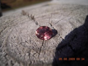 xPicture 413.jpg