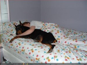 9666d166-ac82-474d-881d-77d949f59df0.jpg