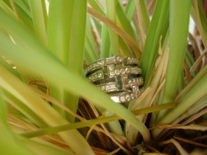 ringinplantsm.jpg