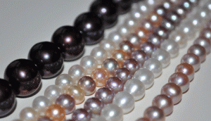 sbpearls4.gif