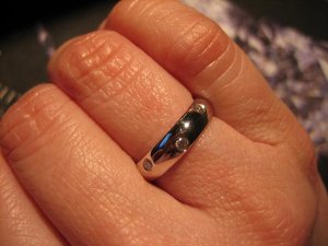 IMG_0940smallPS.jpg