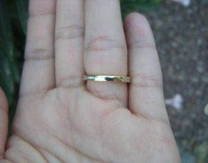 honeydt 10022.jpg