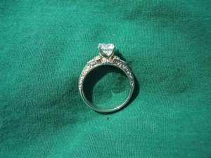 100_3405 (Small) (2).jpg