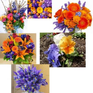 LP flowers 1.jpg