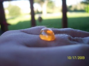 -2009-10-17 004.jpg