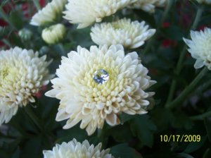 -2009-10-17 012.jpg