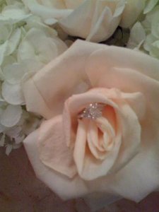 rose4.JPG