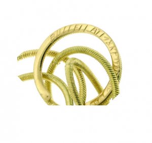 ShirazHawaiiEarring1.jpg