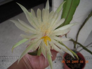 xPicture 941.jpg