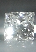Close-ups2.JPG