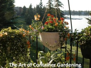The Art of Container Gardening 01.jpg