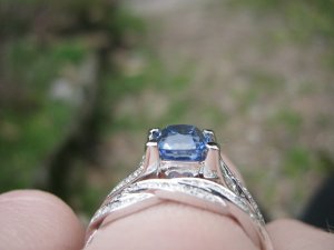 my pics 021.JPG