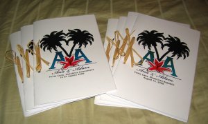22MAY2009IP1.jpg