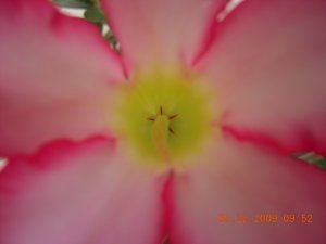 gemstones 041.jpg