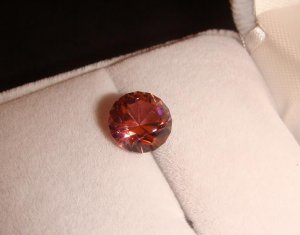 DSC04107rs.JPG