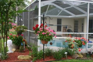 xbackyard4.jpg