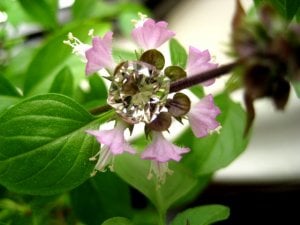 IMG_0626.JPG