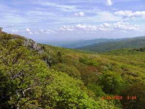 PSpost2_Shenandoah3.jpg