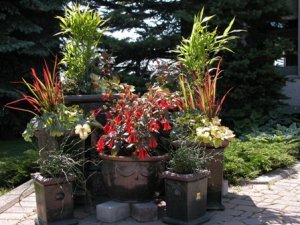 Gailey container scaping 01.jpg