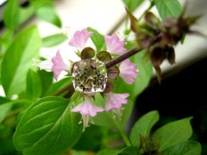 IMG_0622.JPG