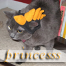 princesssnew.jpg
