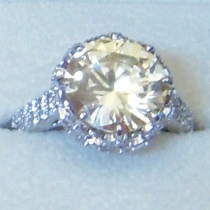 topviewpetals2009.JPG