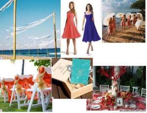 Coral-Cobalt Inspiration.JPG Coral-Cobalt Inspiration.JPG