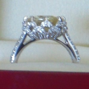 sideviewpetals2009.JPG