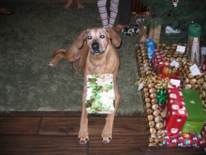 rookiewith presents.JPG