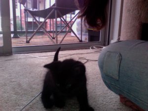 Photo 472.jpg
