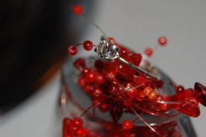 red_crop1.jpg