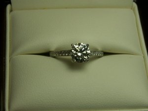 PICT0028.JPG