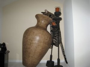 dino1438.jpg