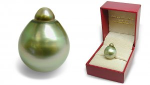 droolpearl02.jpg