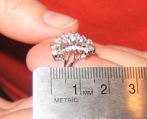 Erin713 Ring27.jpg