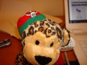 ringonleopard.jpg