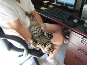 relaxing1457.jpg