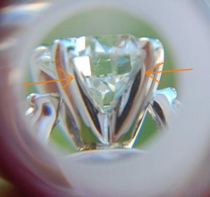 DSC_0093.JPG