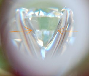 DSC_0095.JPG