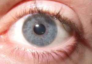 eyepic.jpg