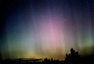 wutsnorthernlights2.jpg